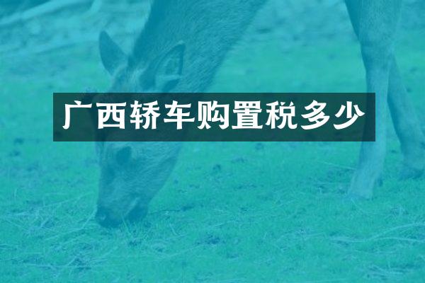广西轿车购置税多少