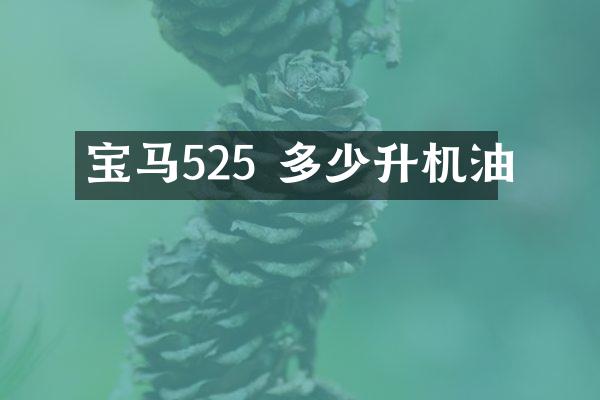 宝马525 多少升机油