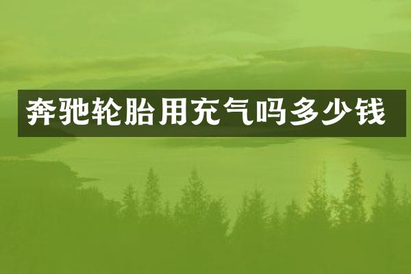 奔驰轮胎用充气吗多少钱
