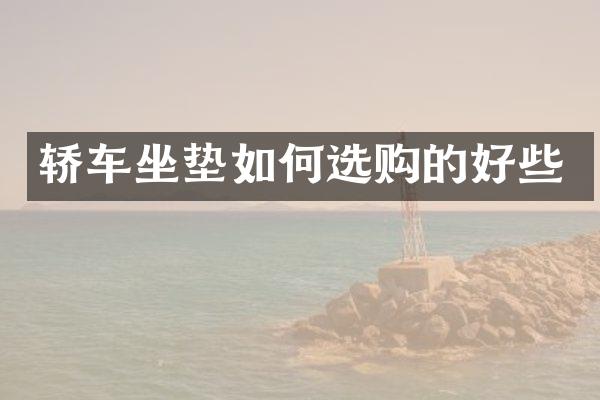 轿车坐垫如何选购的好些