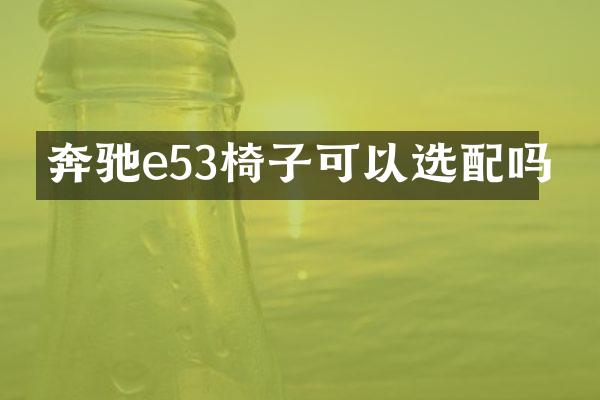 奔驰e53椅子可以选配吗
