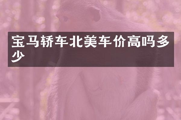 宝马轿车北美车价高吗多少