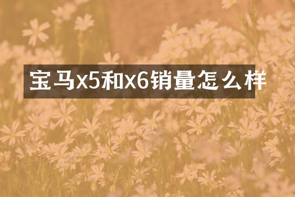 宝马x5和x6销量怎么样