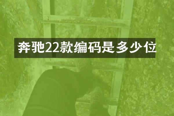 奔驰22款编码是多少位