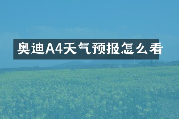 奥迪A4天气预报怎么看