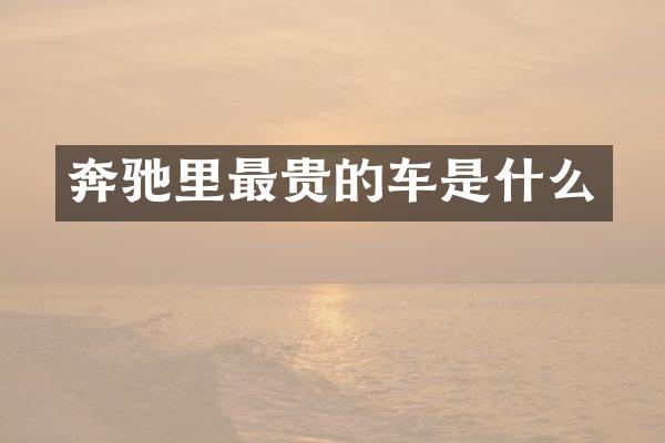 奔驰里最贵的车是什么