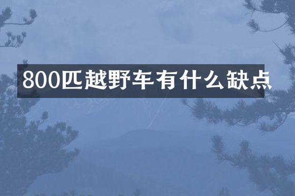 800匹越野车有什么缺点