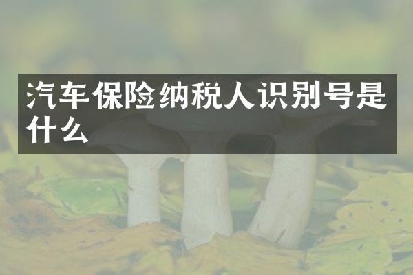 汽车保险纳税人识别号是什么