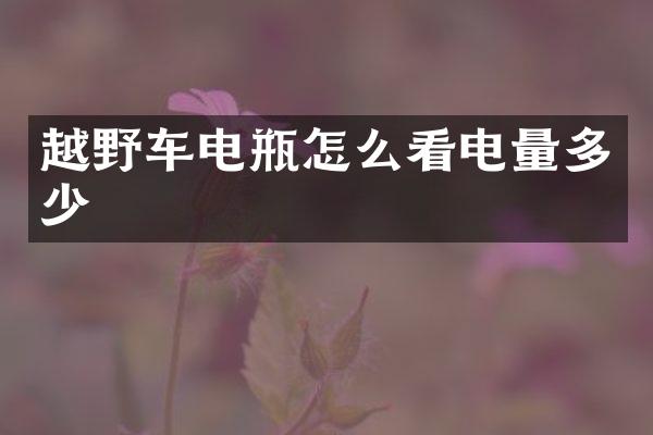越野车电瓶怎么看电量多少