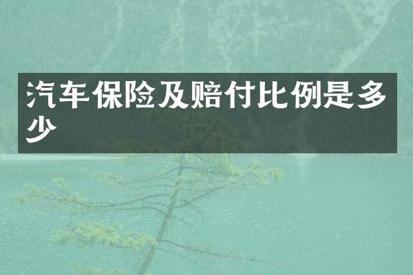 汽车保险及赔付比例是多少