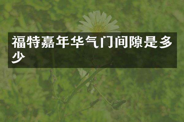 福特嘉年华气门间隙是多少