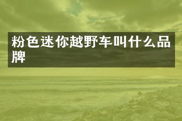 粉色迷你越野车叫什么品牌