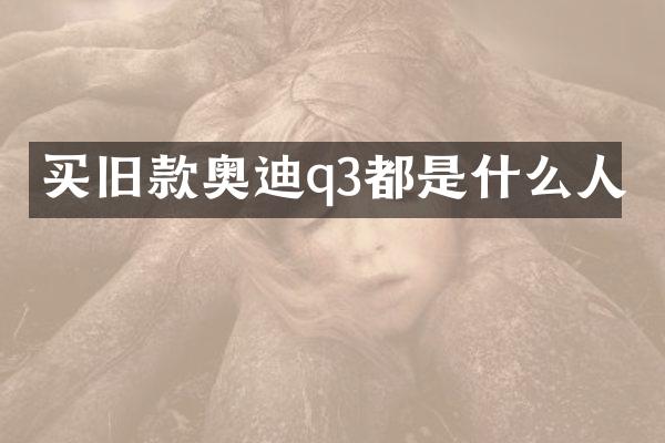 买旧款奥迪q3都是什么人
