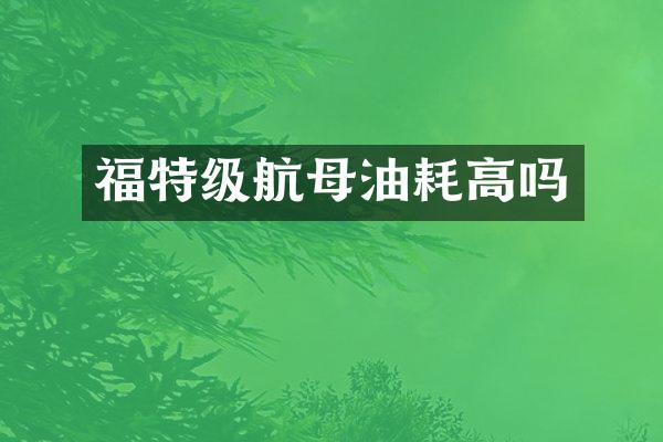 福特级航母油耗高吗
