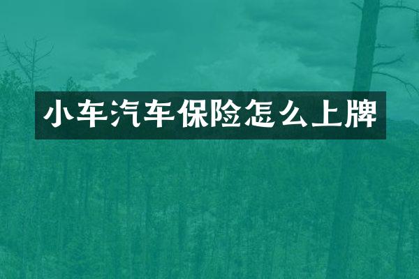 小车汽车保险怎么上牌
