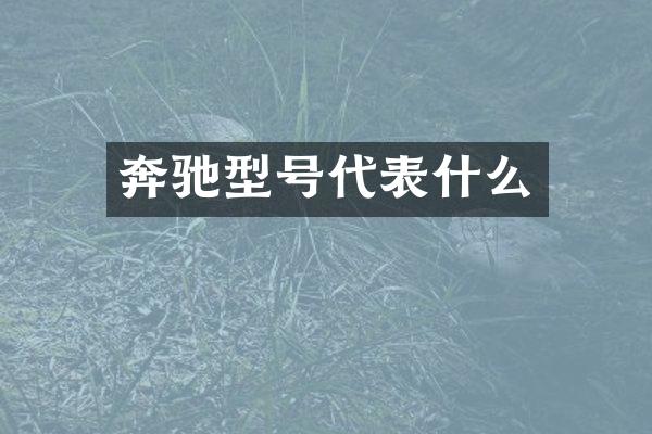 奔驰型号代表什么