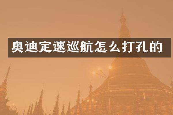 奥迪定速巡航怎么打孔的