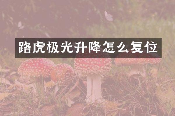 路虎极光升降怎么复位