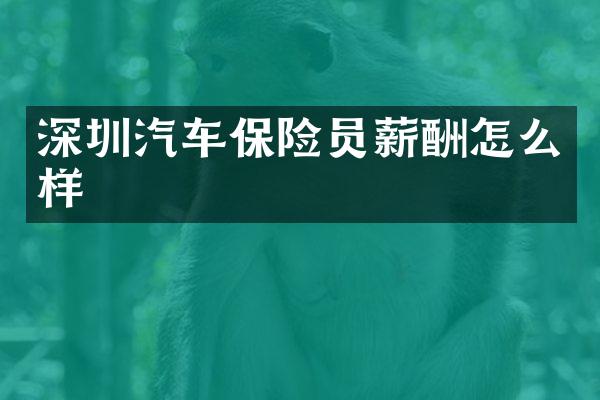 深圳汽车保险员薪酬怎么样
