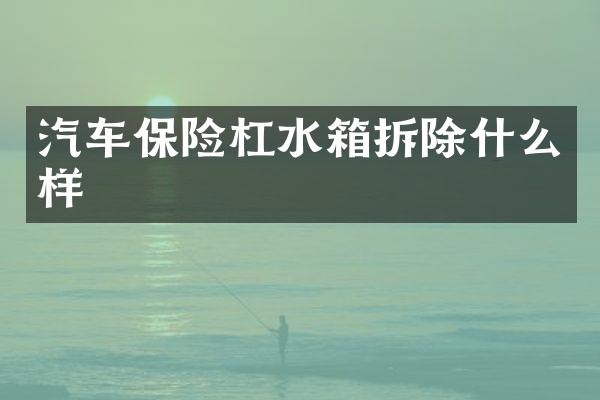 汽车保险杠水箱拆除什么样