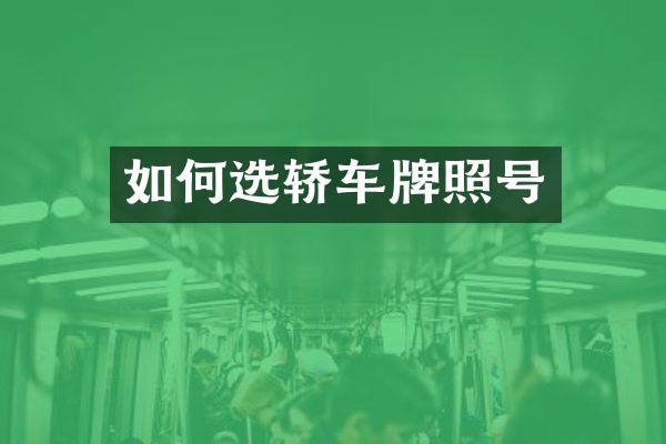 如何选轿车牌照号