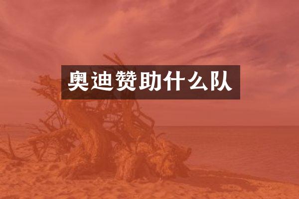 奥迪赞助什么队