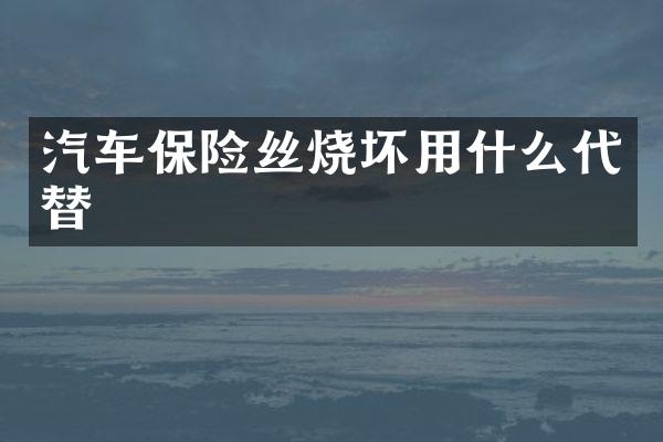 汽车保险丝烧坏用什么代替