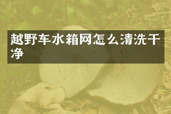 越野车水箱网怎么清洗干净