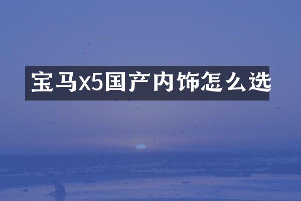 宝马x5国产内饰怎么选