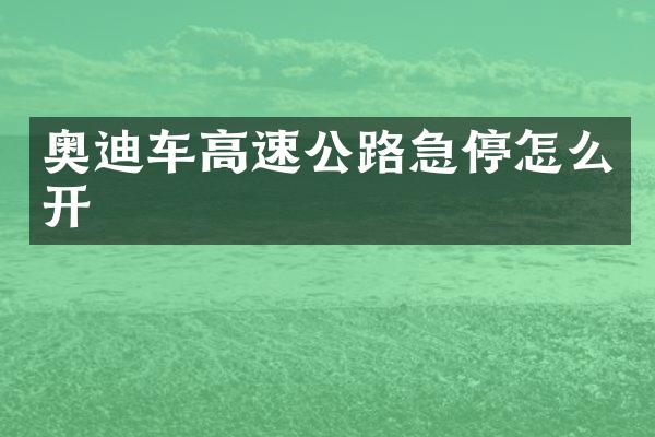奥迪车高速公路急停怎么开