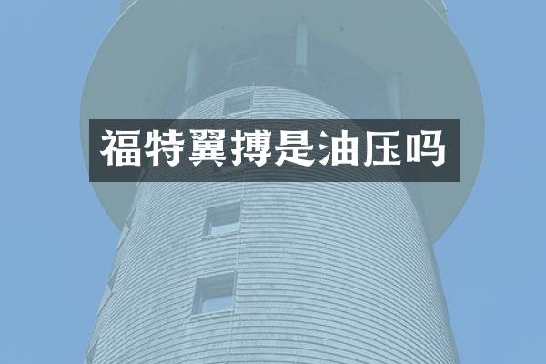 福特翼搏是油压吗