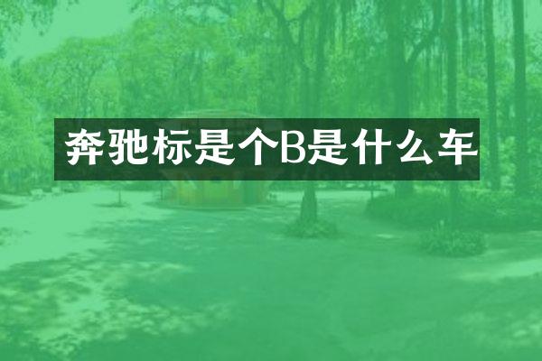 奔驰标是个B是什么车