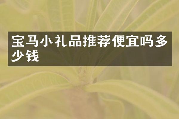 宝马小礼品推荐便宜吗多少钱