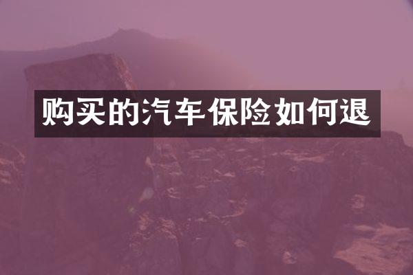 购买的汽车保险如何退