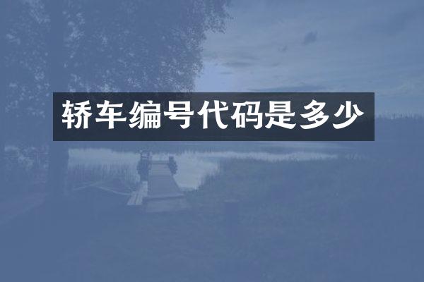 轿车编号代码是多少