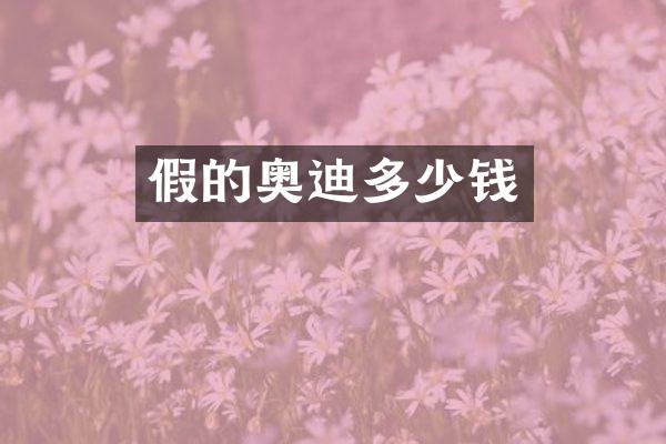假的奥迪多少钱