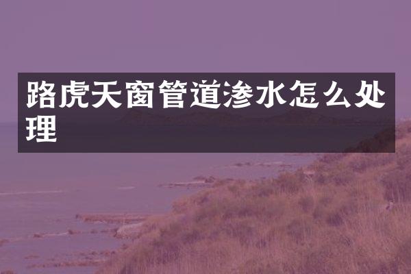 路虎天窗管道渗水怎么处理