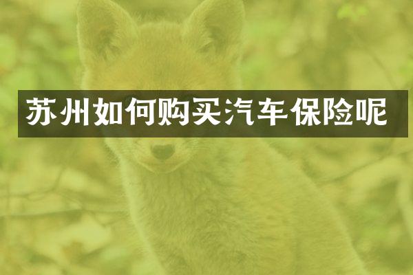 苏州如何购买汽车保险呢