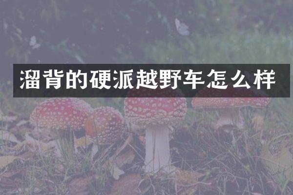 溜背的硬派越野车怎么样