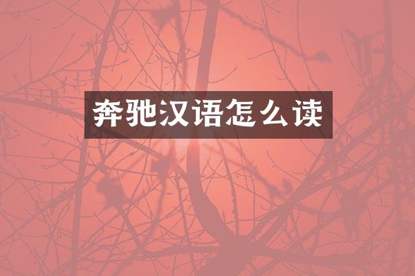 奔驰汉语怎么读