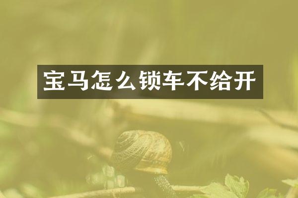 宝马怎么锁车不给开