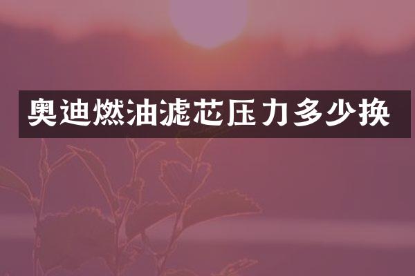 奥迪燃油滤芯压力多少换
