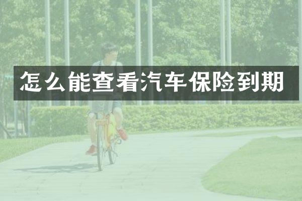 怎么能查看汽车保险到期