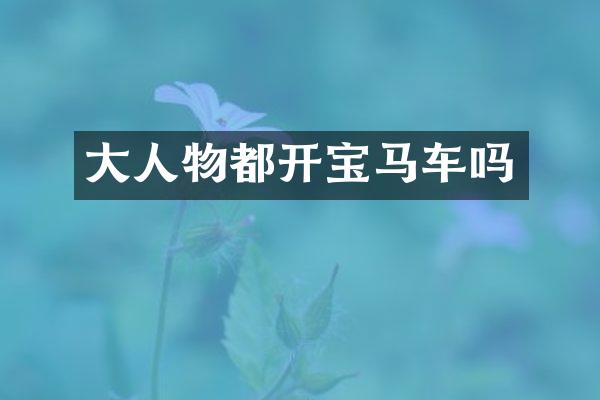 大人物都开宝马车吗
