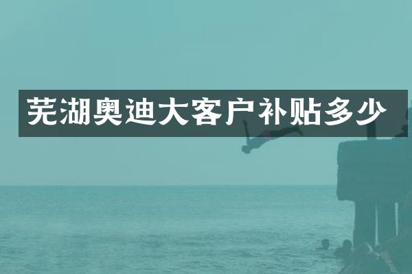 芜湖奥迪大客户补贴多少