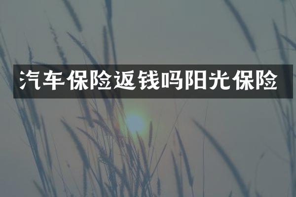 汽车保险返钱吗阳光保险