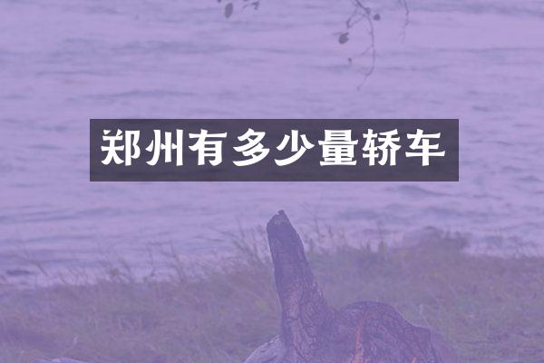 郑州有多少量轿车