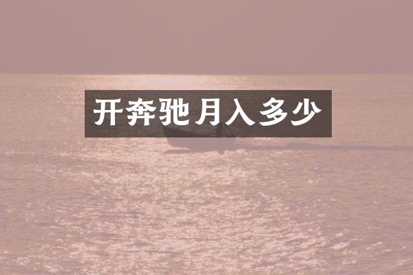 开奔驰月入多少