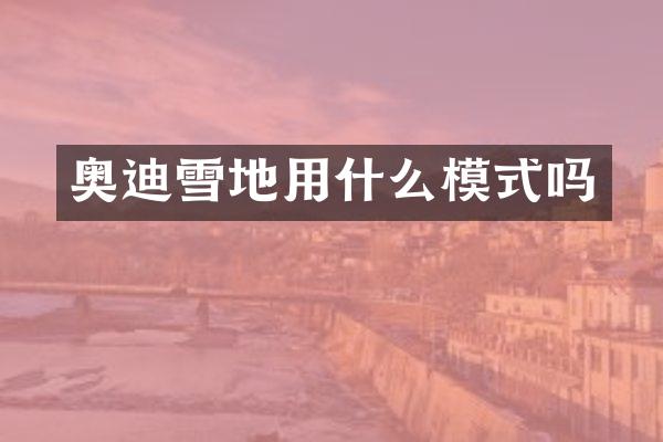 奥迪雪地用什么模式吗