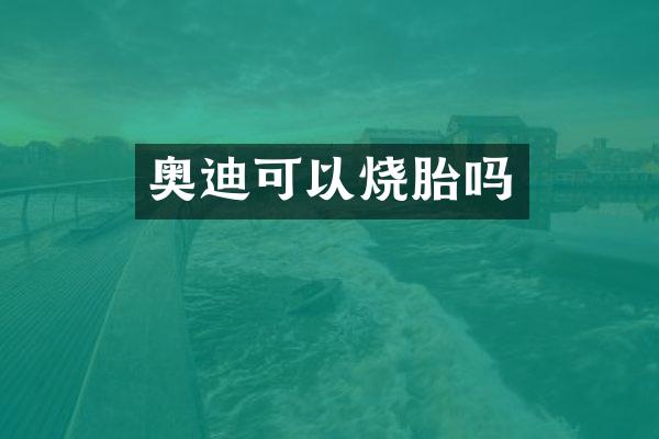 奥迪可以烧胎吗